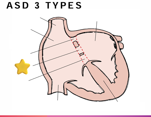 <p>What is this?</p>