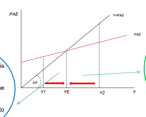 <ul><li><p>it is determined by adding the consumption functiona + investment function to get the PAE</p></li><li><p>A Y = PAE function is also added which is perfeclty 45 degrees</p></li><li><p>the point of intersection i the equilbirum of that</p></li><li><p>x axis = Y</p></li><li><p>y axis = PAE</p></li></ul><p></p>