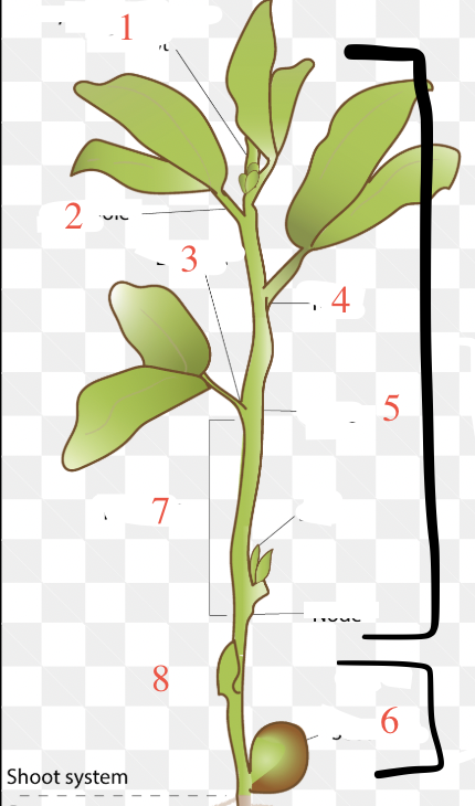 <p>3</p>