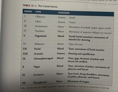 <p>Respiration, phonation, resonance, articulation, and prosody.</p>