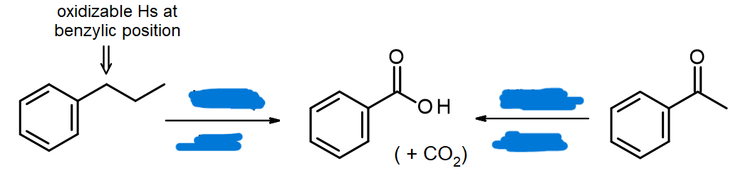<p>Oxidation at Benzylic Position</p>