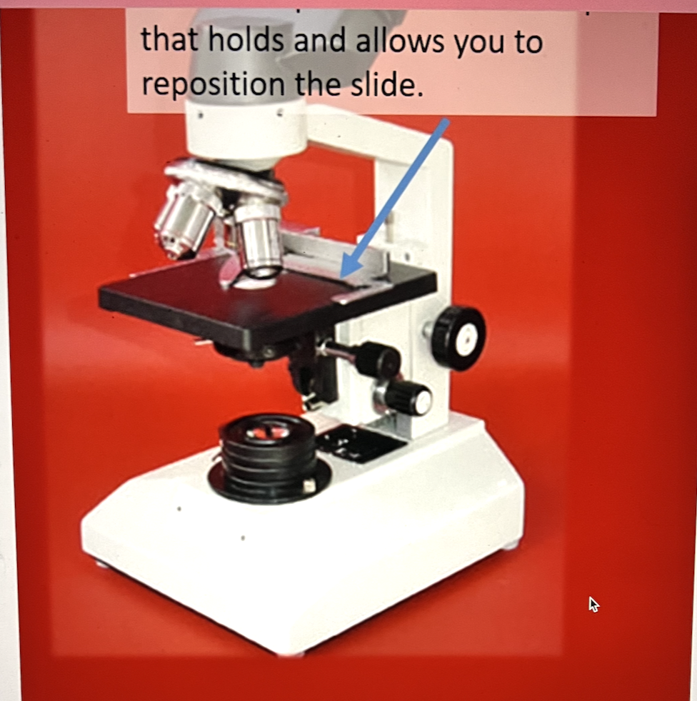 <p>Name the part of the microscope indicated in the image below.</p>