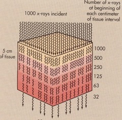 <p>total reduction in number of x-ray photon intensity as the photon passes through material (i.e. patient body) and occurs through absorption and scatter radiation</p>