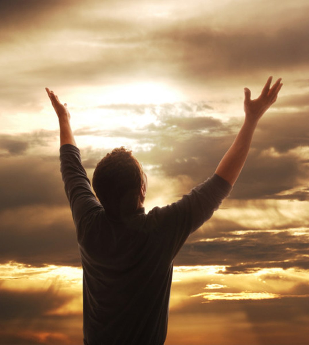 <p>(v) praise</p>
