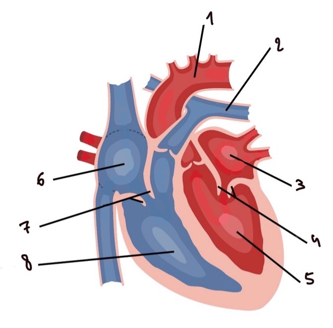 <p>3</p>