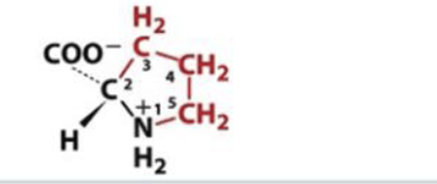 <p>Pro, P, non polar</p>