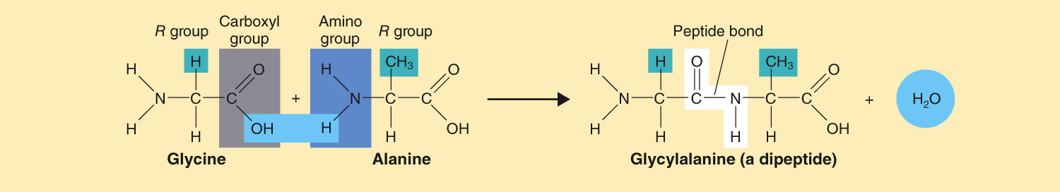 <p><span>Identify the following chemical reaction:&nbsp;</span></p>