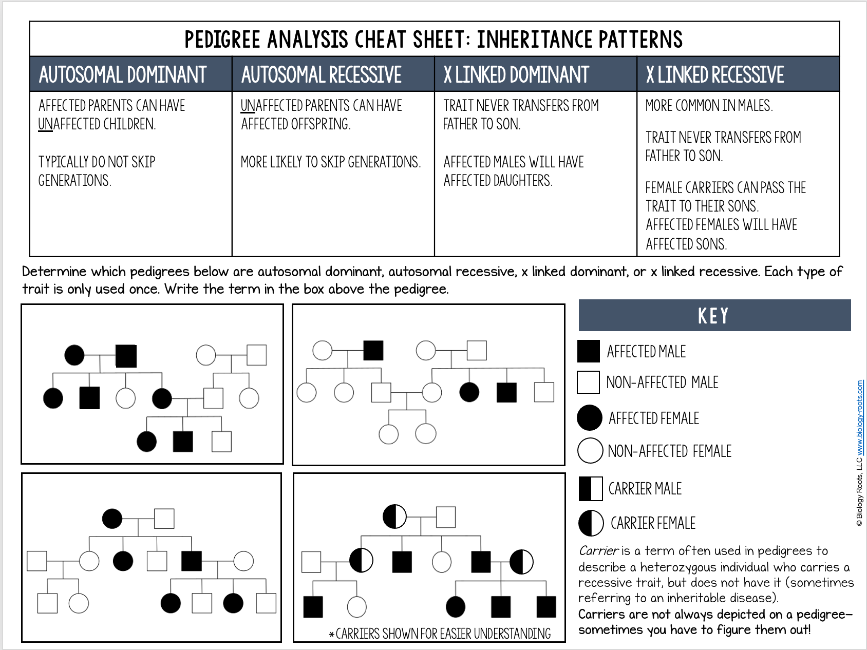 <ul><li><p><span>Guess a mode of inheritance, then check for exceptions</span></p></li><li><p><span>Assign genotypes to test each mode of inheritance:</span></p><ul><li><p><span>X-linked dominant</span></p></li><li><p><span>X-linked recessive</span></p></li><li><p><span>Autosomal dominant</span></p></li><li><p><span>Autosomal recessive</span></p></li></ul></li></ul><p></p>