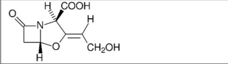 <p>Acide clavulanique</p>