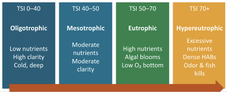 <p><span>3 Variables Measured:</span></p><ul><li><p><span style="background-color: transparent;">Total phosphorus concentration</span></p></li><li><p><span style="background-color: transparent;">Chlorophyll-a concentration- proxy for algal biomass</span></p></li><li><p><span style="background-color: transparent;">Secchi disk depth- shows water transparency</span></p></li></ul><p><span>Lakes Slowly Age Through 4 Classifications</span></p><ul><li><p><span>Oligotrophic</span></p></li><li><p><span>Mesotrophic</span></p></li><li><p><span>Eutrophic</span></p></li><li><p><span>Hypereutrophic</span></p></li></ul><p><span>Ex. Lake Erie</span></p><ul><li><p><span style="background-color: transparent;">Eastern Basin- mesotrophic</span></p></li><li><p><span style="background-color: transparent;">Western Basin- eutrophic</span></p></li></ul><p></p>