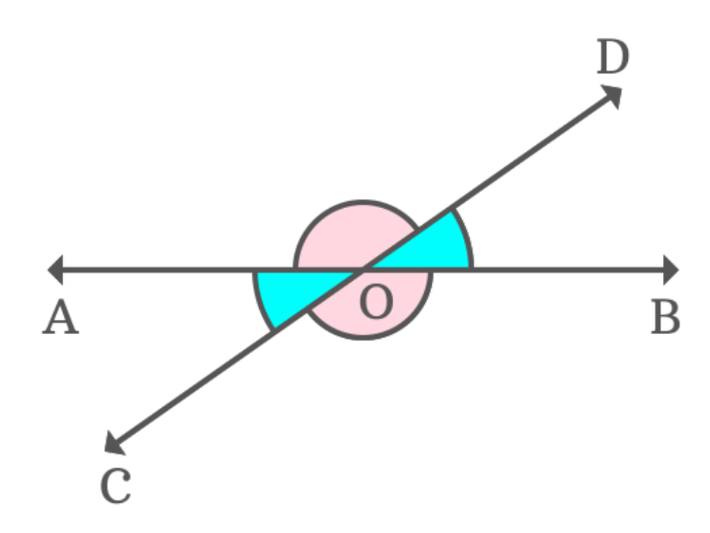 <p>Vertically opposite angles (X)</p>