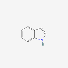 <p>indole</p>