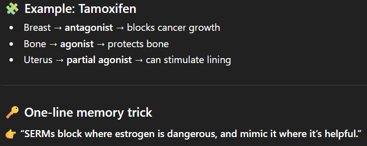 <p>Binds to oestrogen receptors and act as either antagonist or agonist depending on the tissue:</p><ol><li><p>Antagonists: Blocks oestrogen effects in specific tissues </p></li><li><p>Agonist: mimics oestrogen in specific tissues </p></li></ol><p></p>