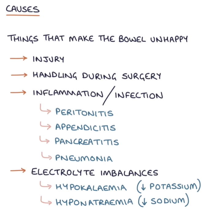 <ul><li><p>Abdominal surgeries </p></li><li><p>Opiates</p></li><li><p>Hypokalemia </p></li><li><p>Sepsis</p></li></ul><p></p>