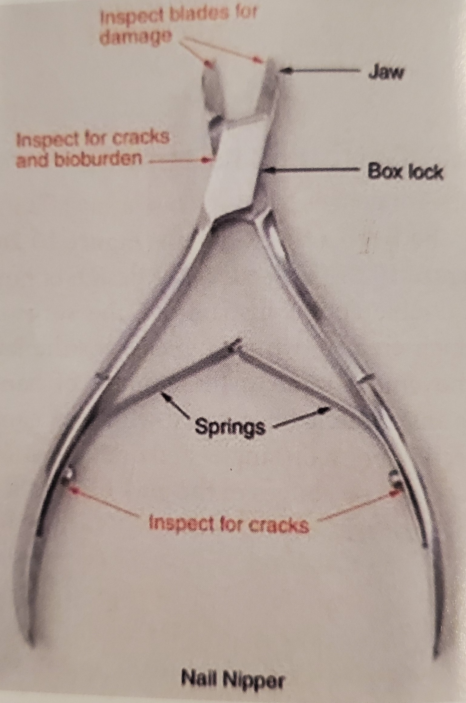 term image