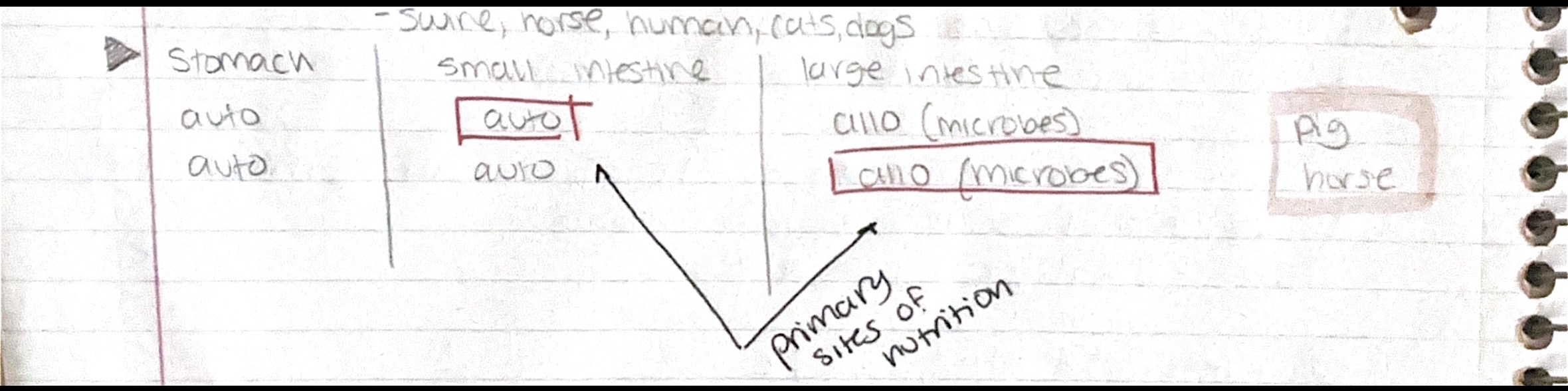 knowt flashcard image