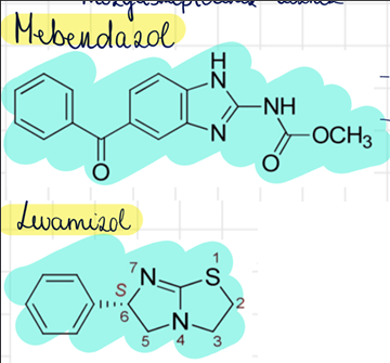 <p>levamizol (Decaris) <br>mebendazol (Vermox)</p>