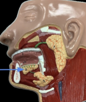 <p>name the part</p>