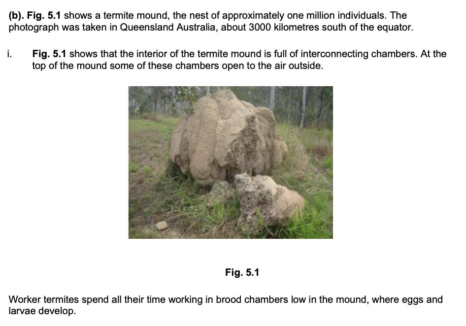 <p><strong>Explain how carbon dioxide produced in the respiring body cells of worker termites is removed to the air outside the termite mound. (4 marks)</strong></p>
