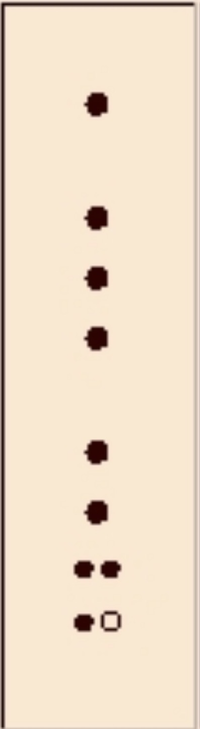 knowt flashcard image