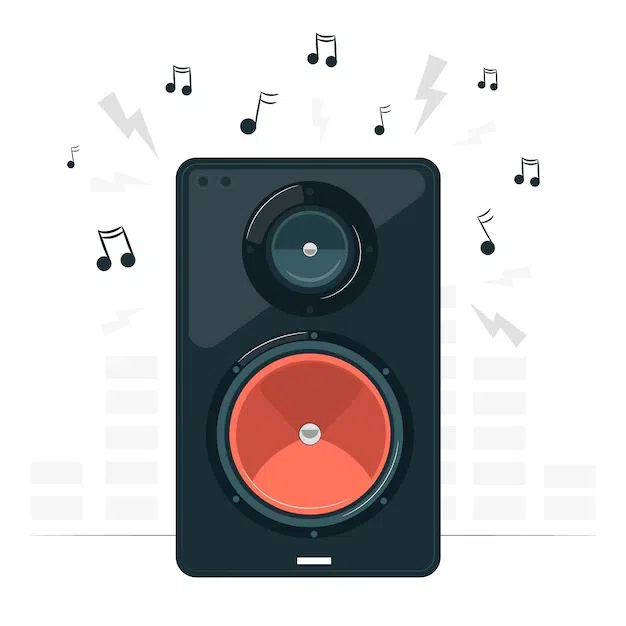 <p>Ex: They should buy better <strong>speakers</strong> for this concert</p>