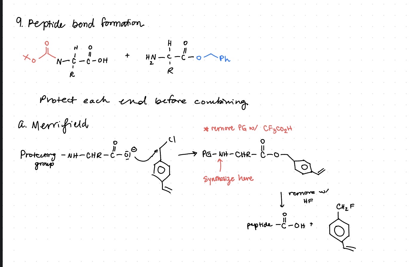 knowt flashcard image