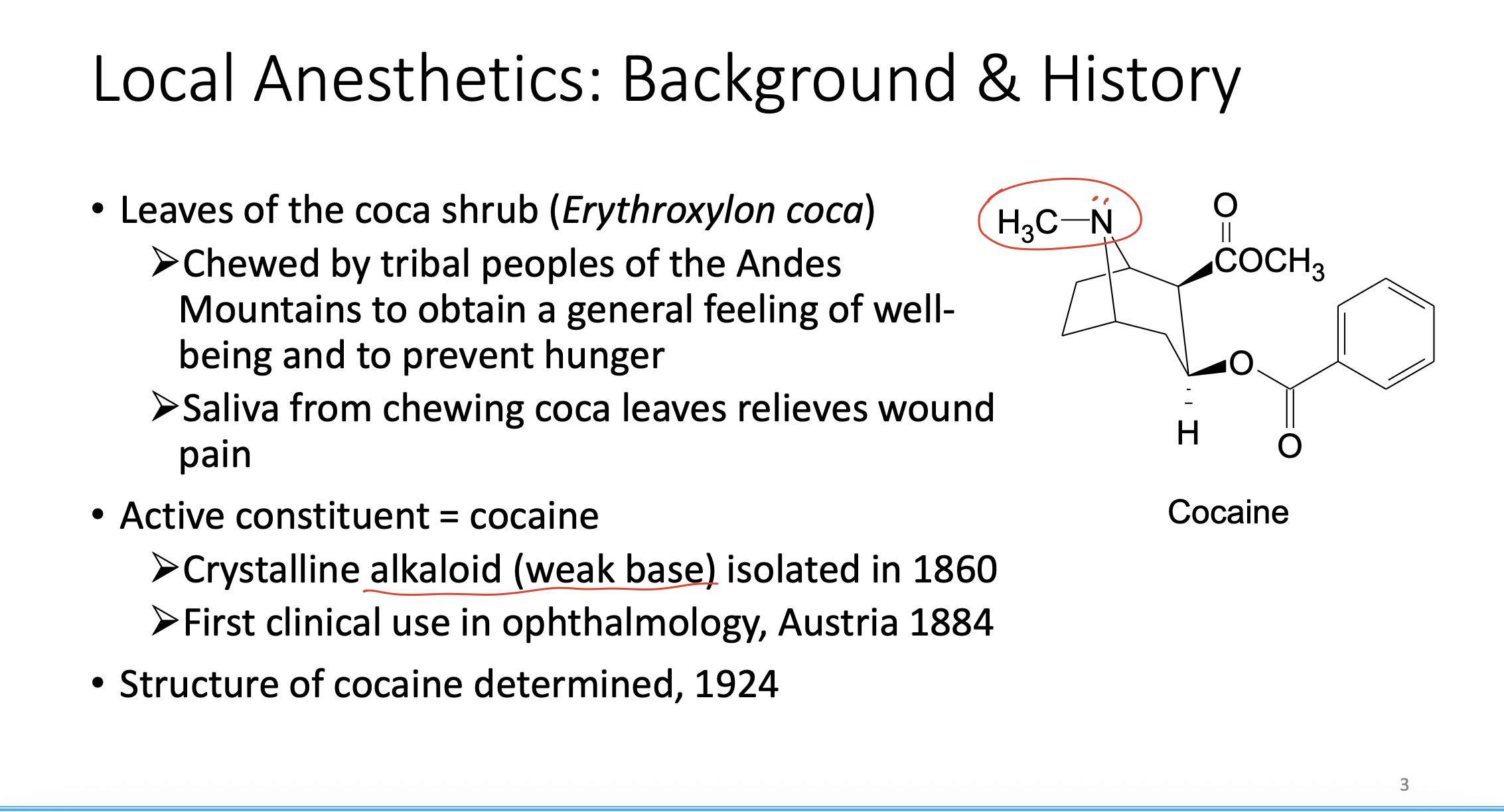 <p>Local Anesthetics: Background &amp; History</p>