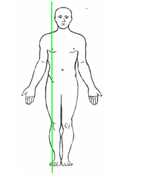 <p>Term: Parasagittal plane</p>