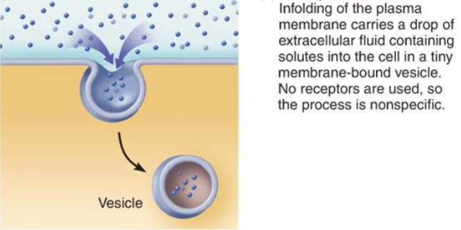 <p>This is the process of?</p>