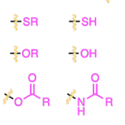 <p><strong>Thioether (sulfide)</strong></p><p> <strong>Thiol</strong></p><p><strong>Ether / alkoxy group</strong></p><p><strong>Alcohol / hydroxyl group</strong></p><p><strong>Ester</strong> </p><p><strong>Amide</strong> </p><p>ORTHO PARA directors </p>