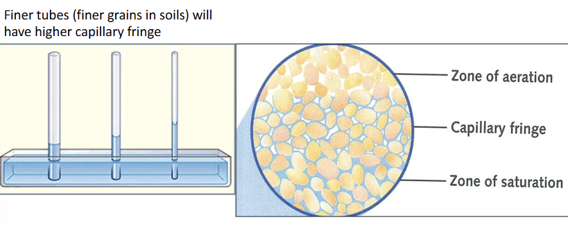 <p>Zone of aeration, capillary fringe, zone of saturation</p><p></p><p>The capillary fringe is essentially <strong>saturated</strong>, but groundwater is being held against gravity under negative pressure.</p>