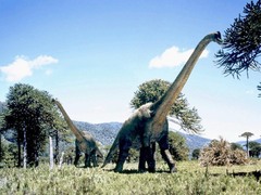 <p>True, think about how a sauropod is huge compared to its babies and it will not be able to keep up with the parents because they would be moving too fast compared to the infants.</p>