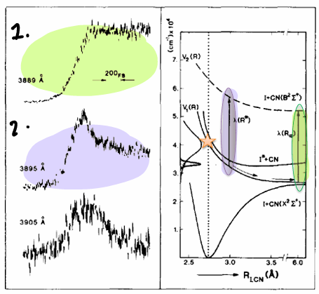 <p>Spectra 1 has a longer bond distance (therefore the CN exists and able to fluoresce), therefore fluorescence is constant and signal plateaus.</p><p>Spectra 2 shows a rise in signal as bond length increases, until probe is no longer resonant with the transition so the signal drops. The molecule passes through a point at which the bond length is unstable, showing the TS.</p>