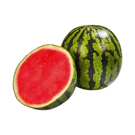 <p></p>