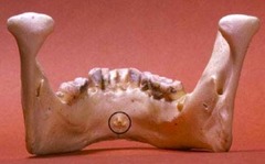 <p>Identify the structure</p>
