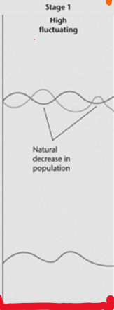 <p>Birth rate: <strong>High </strong>and fluctuating</p><p>Death rate: <strong>High </strong>and fluctuating</p><p>Population change: <strong>None</strong><br>Example country: Remote tribes</p>