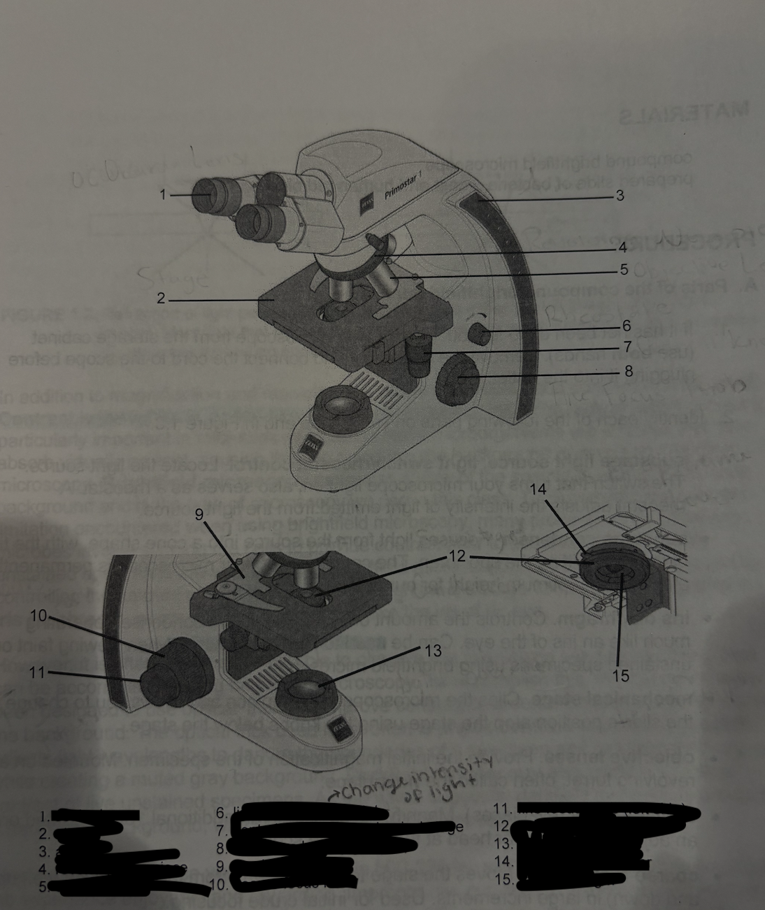 term image