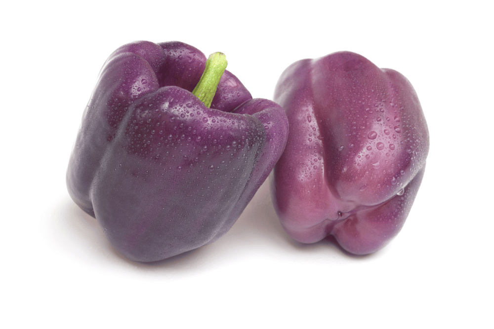 <p>Purple Bell Peppers</p>