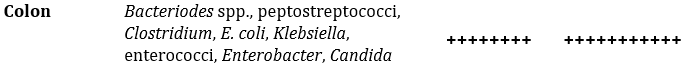<p>colon (colonic diverticulum is what gets infected)<br></p><p>(again, gram negative rods and anaerobes)</p>