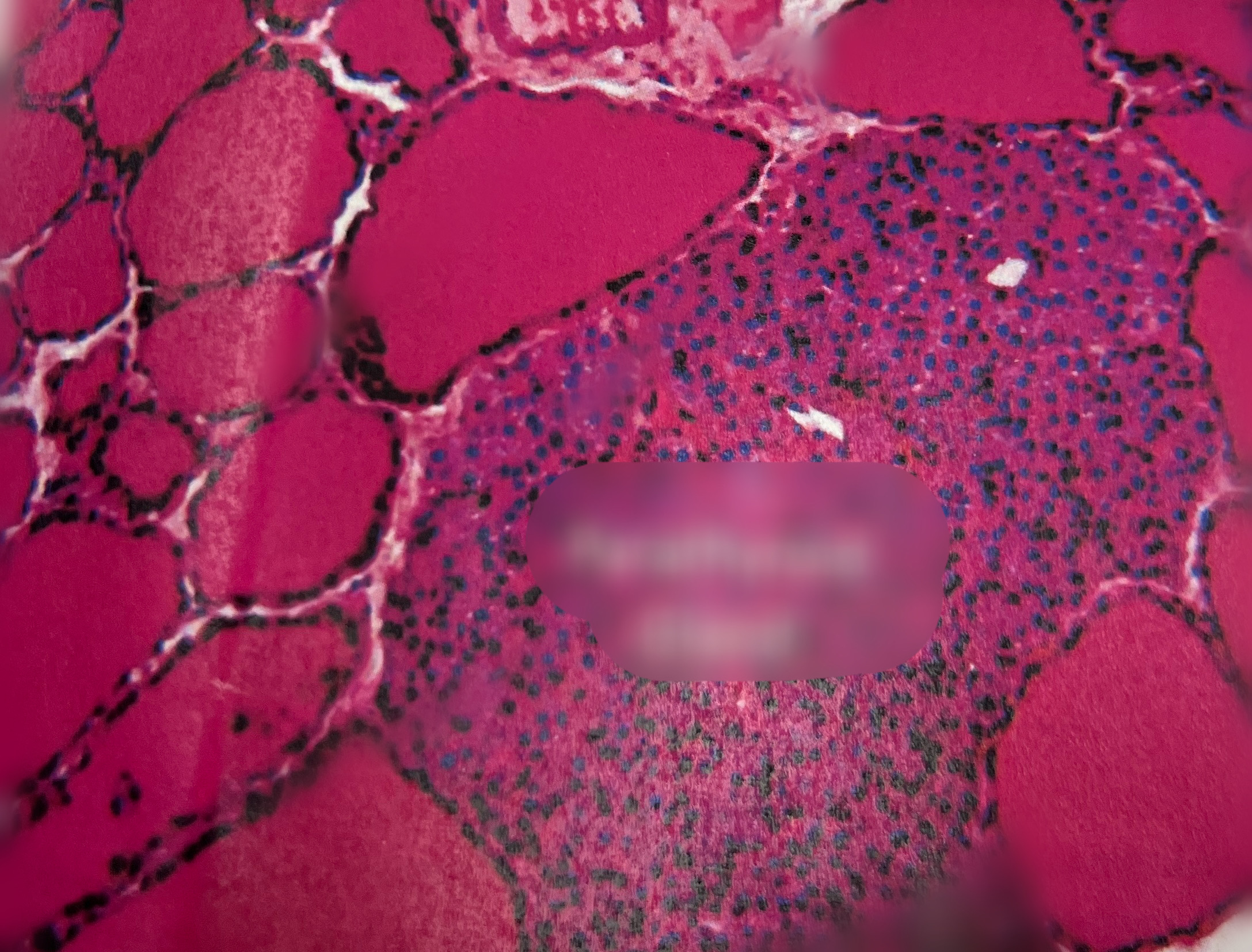 <p>What is this section called?</p>