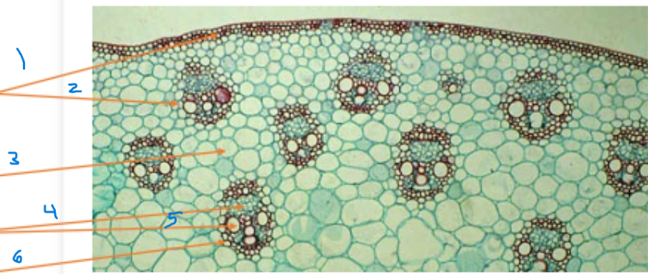 <ol><li><p>Name 6</p></li></ol><p></p>