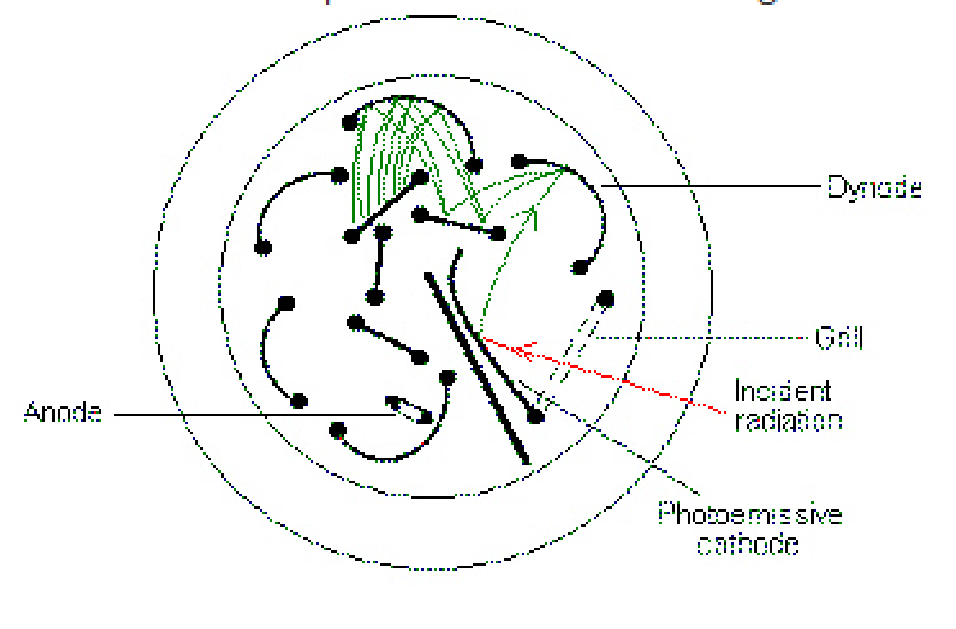 <p>This illustration depicts which of the following? </p>