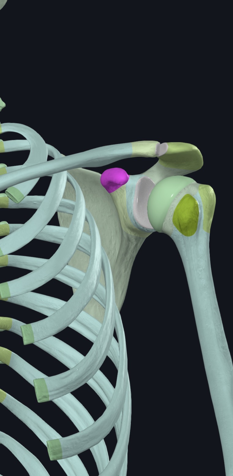 <p>what is this?</p>