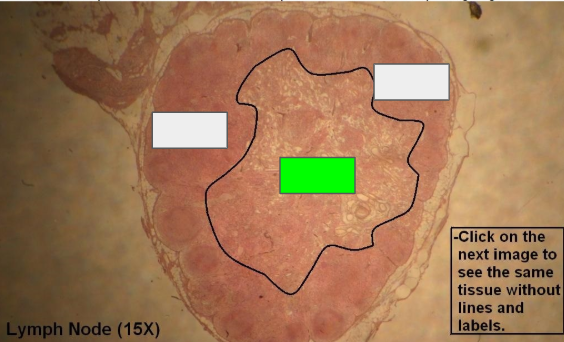 <p>What is this?</p>