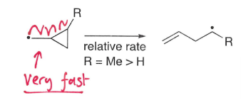 <p>Fragmentation of rings is very fast due to the release of strain, forming a more stable radical molecule.</p>