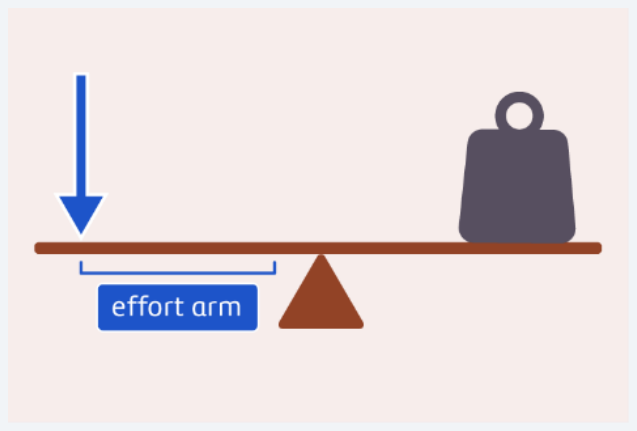 <p>The distance between the effort force and fulcrum in a lever; it is longer than the resistance arm in a force multiplier.</p>