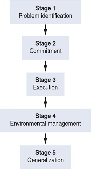 <p>Stage 1: Problem identification</p><p>Stage 2: Commitment</p><p>Stage 3: Execution</p><p>Stage 4: Environmental management</p><p>Stage 5: Generalisation</p>