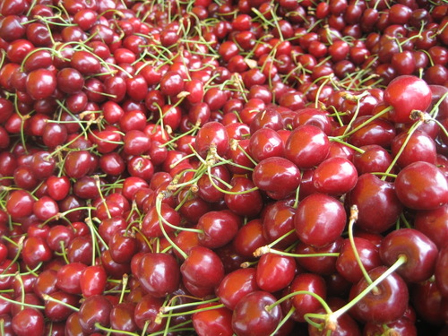 <p>nhiều</p>