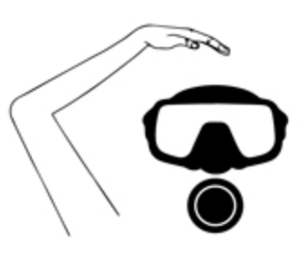 <p>What is this hand signal?</p>