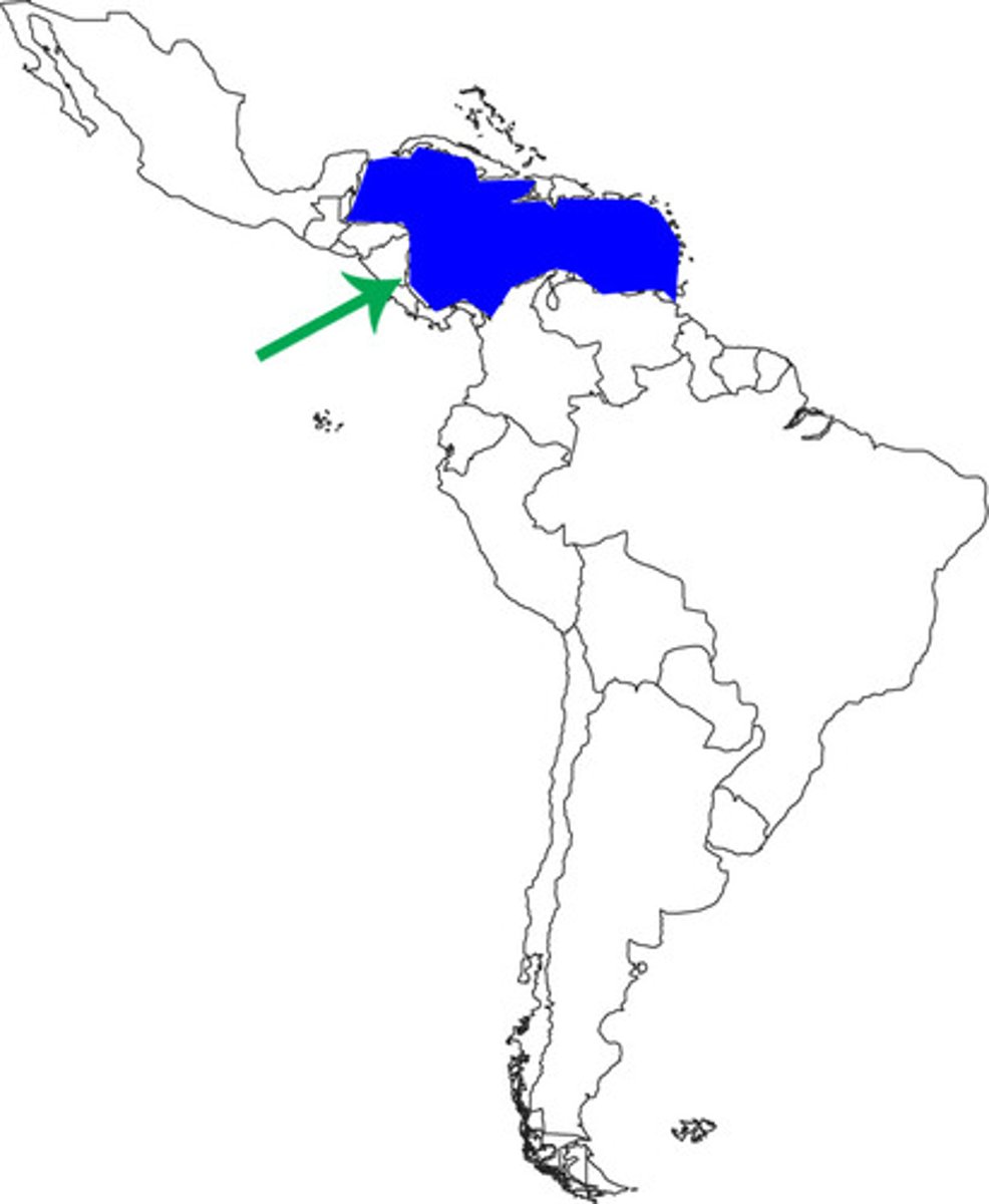 <p>A large sea bordered by the Caribbean islands, Central America, and northern South America.</p>